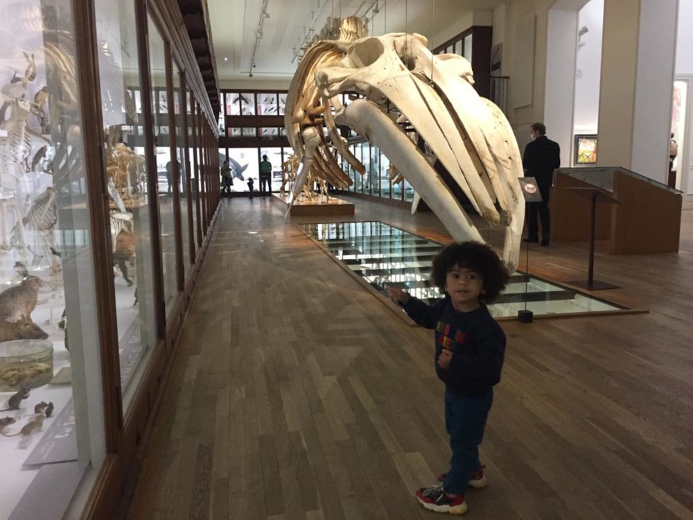 Adao au musée d'histoire naturelle